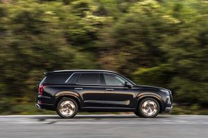 Hyundai Palisade Calligraphy 2020 года  (NA)